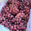 Top Quality Crimson Seedless fresh Grapes